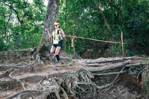 BIB: 
                            <button type="button" onclick="openModal(27721197)" class="btn btn-primary btn-sm float-right btn-popup" data-toggle="modal" data-target=".modal-high-quality">
                        <i class="fas fa-shopping-cart"></i> Add to Cart
                    </button>
                                            <button type="button" onclick="isThisMe(27721197, true)" class="btn btn-success btn-sm float-right btn-popup btn-isme hidden" data-toggle="tooltip" data-placement="bottom" title="นี่คือรูปของคุณใช่ไหม คลิกที่นี่เพื่อเอาเข้าอัลบั้ม">
                        <i class="fas fa-plus"></i> Add to album
                    </button>
                    <button type="button" onclick="isThisMe(27721197, false)" class="btn btn-warning btn-sm float-right btn-popup btn-isnotme hidden">
                        <i class="fas fa-ban"></i> Remove from album
                    </button>